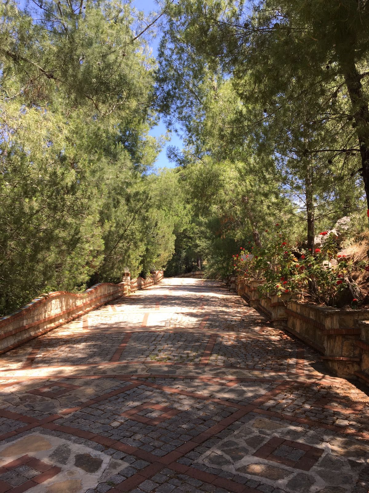 A paved pathway flanked by trees and stone walls, leading into a forested area.