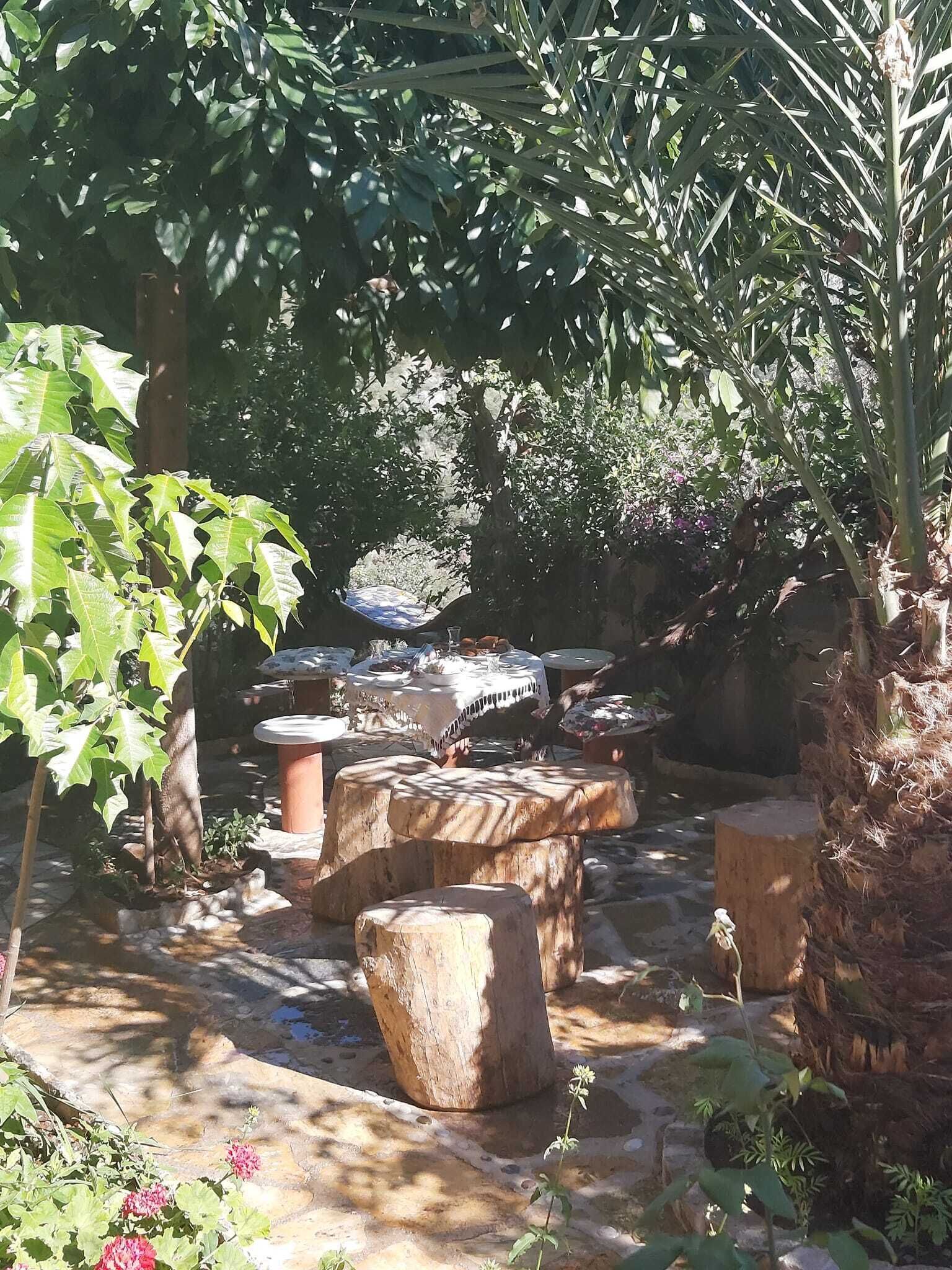 A garden with stone tables and benches, surrounded by various plants and trees.