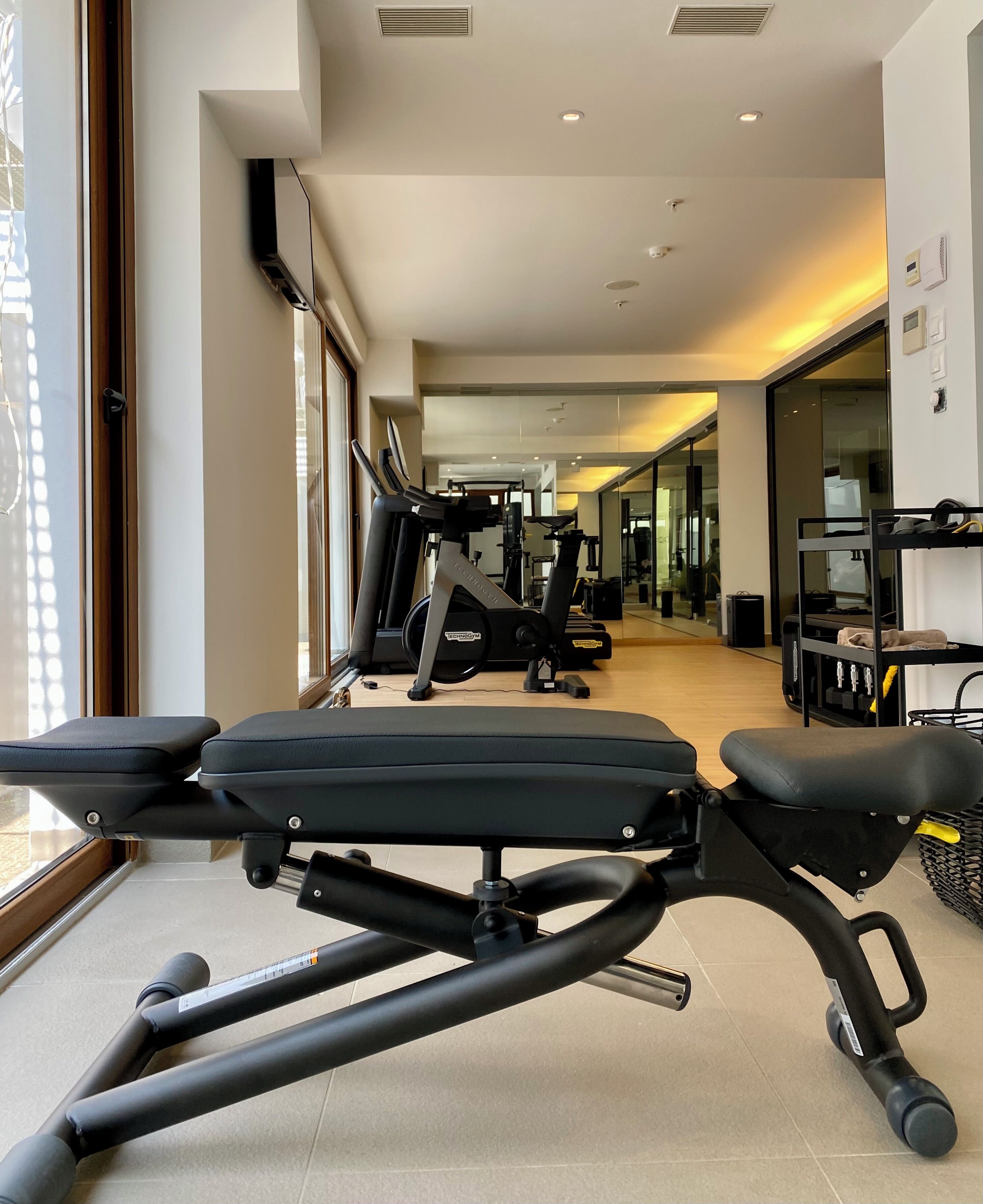 A gym with exercise equipment, a bench, and a treadmill.