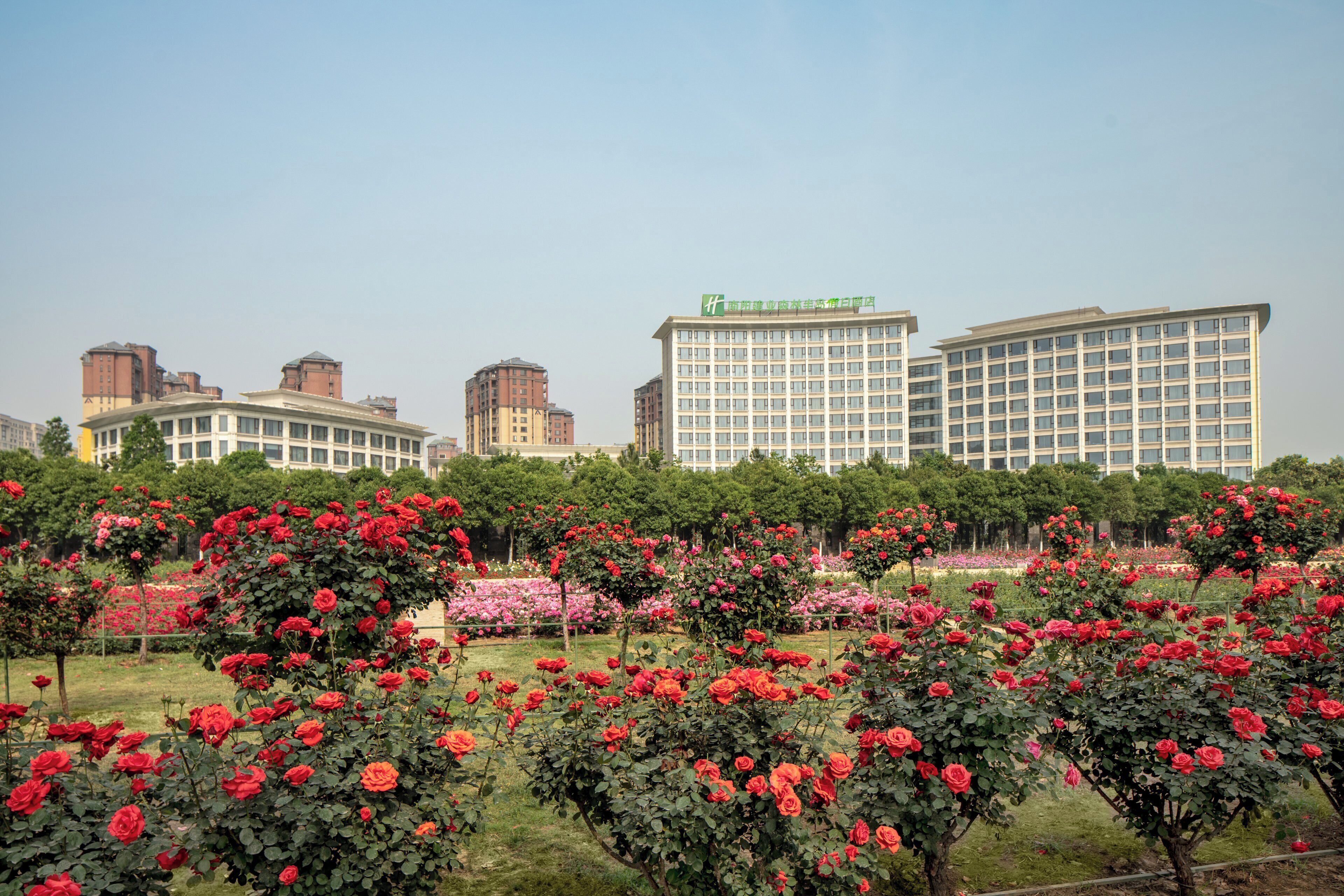 A hotel with multiple floors, surrounded by a garden with red roses.