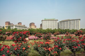 Ein Hotel mit mehreren Etagen, umgeben von einem Rosengarten mit roten Rosen.