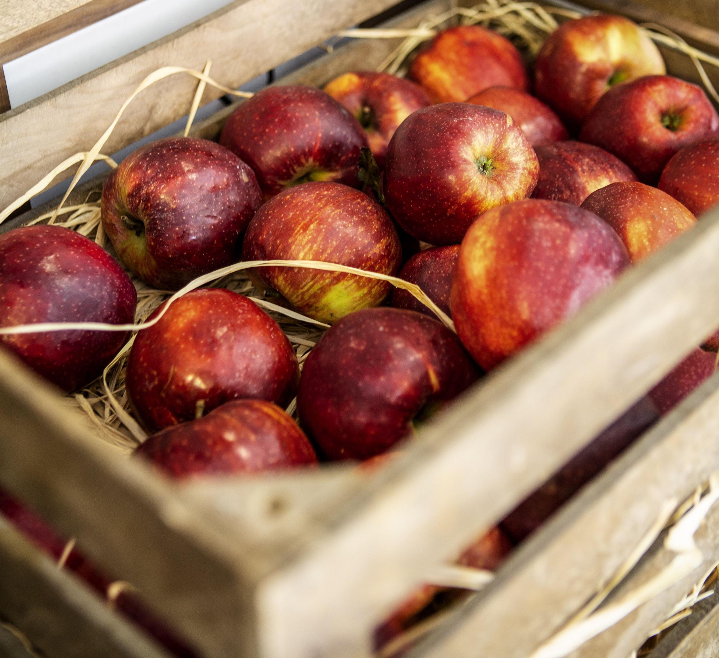 Een houten kist vol rode appels.