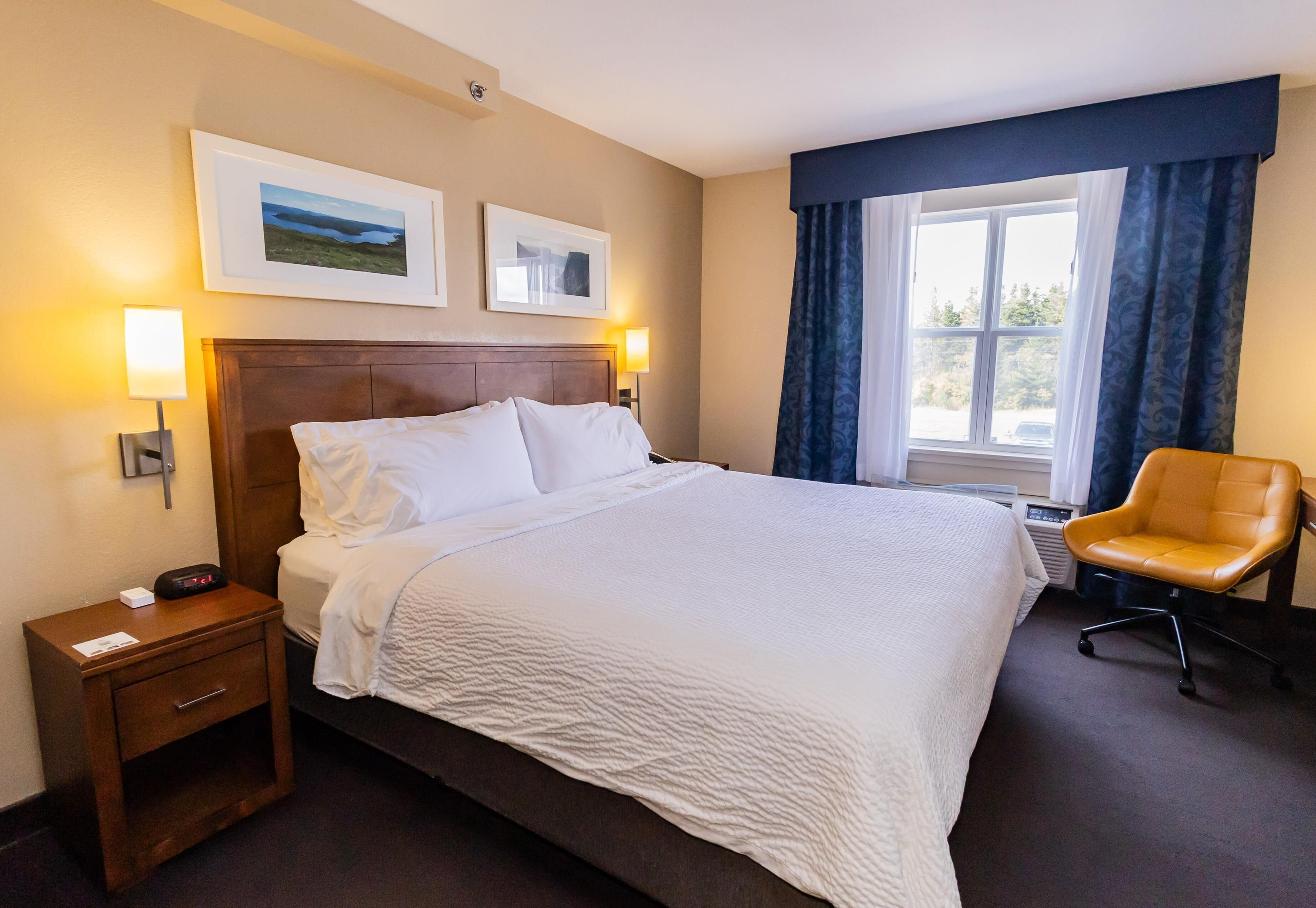 Standard Room, 1 King Bed, Non Smoking | Pillowtop beds, desk, blackout drapes, iron/ironing board