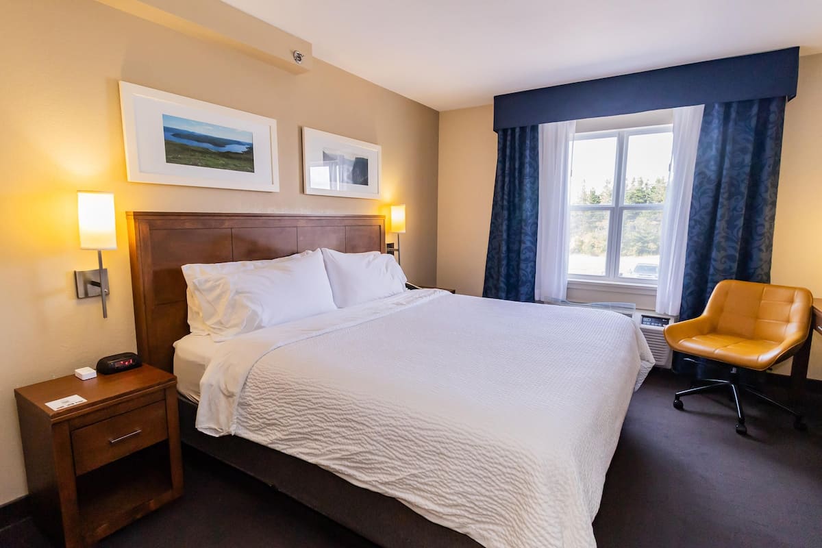 Habitación estándar, 1 cama King size, para no fumadores | Camas con pillow-top, escritorio y cortinas blackout