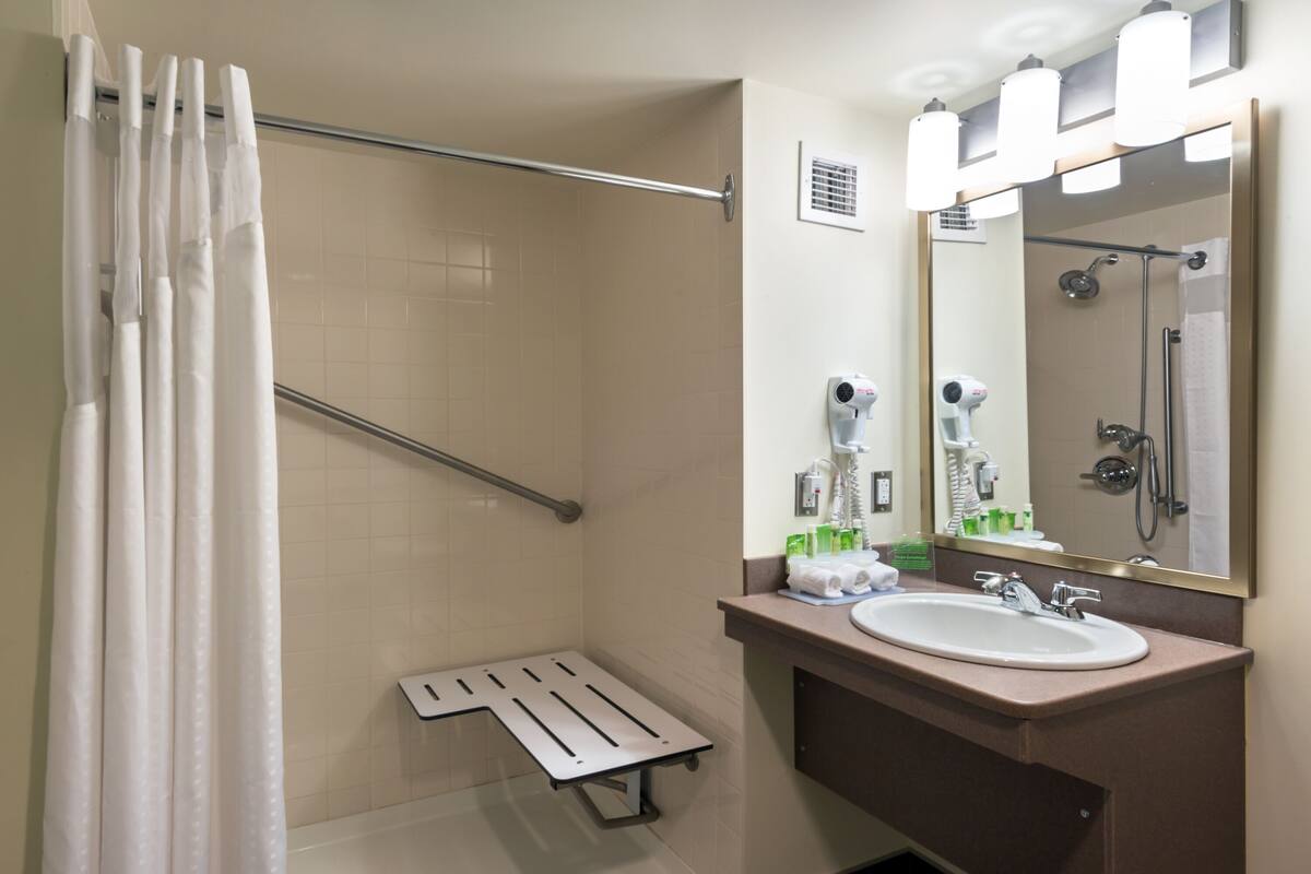 room, 1 king bed, mobility accessible (communications) | bathroom | shower, free toiletries, hair dryer, towels
