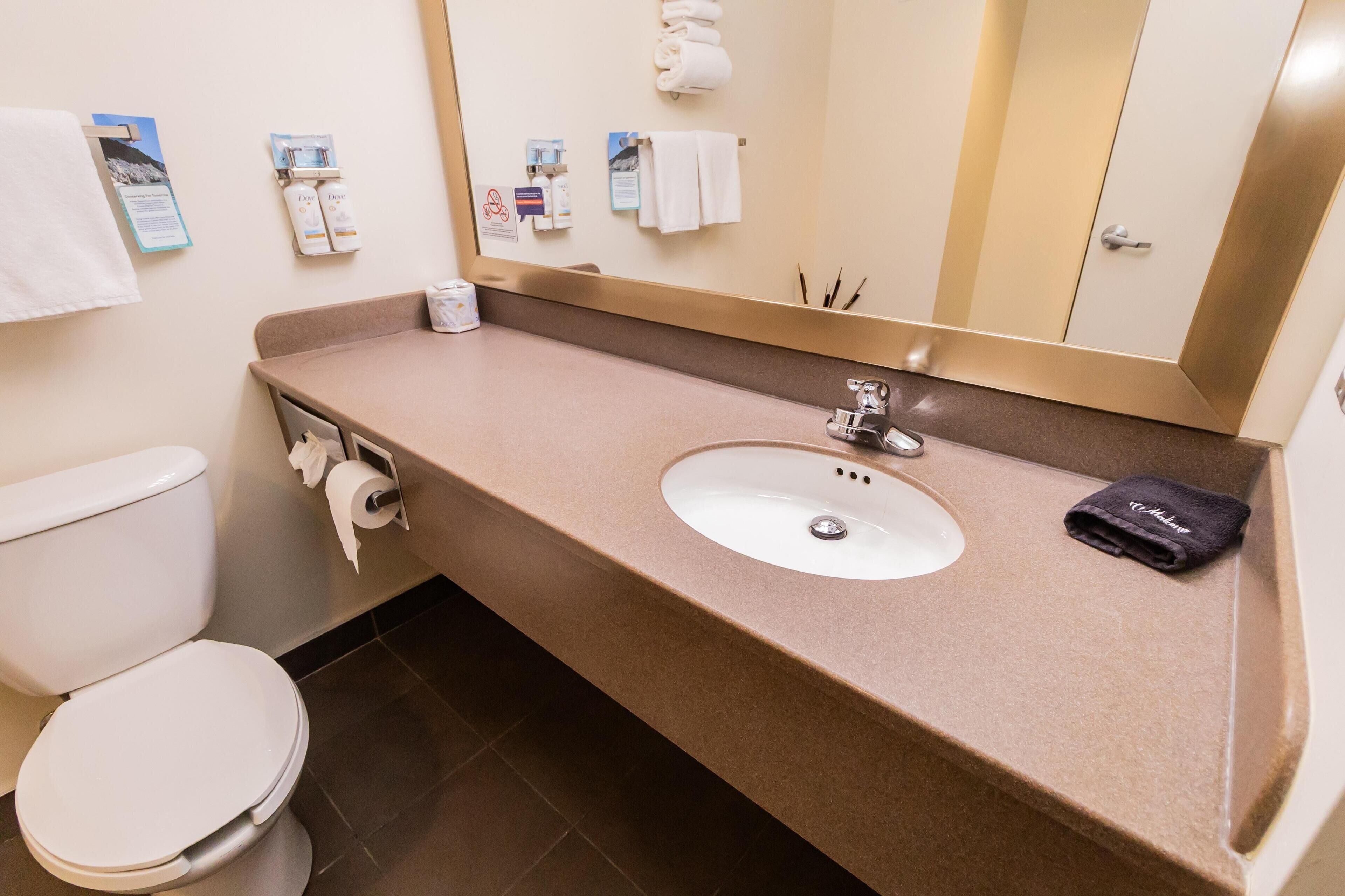 A bathroom with a white toilet, a beige countertop with a sink, and a mirror.