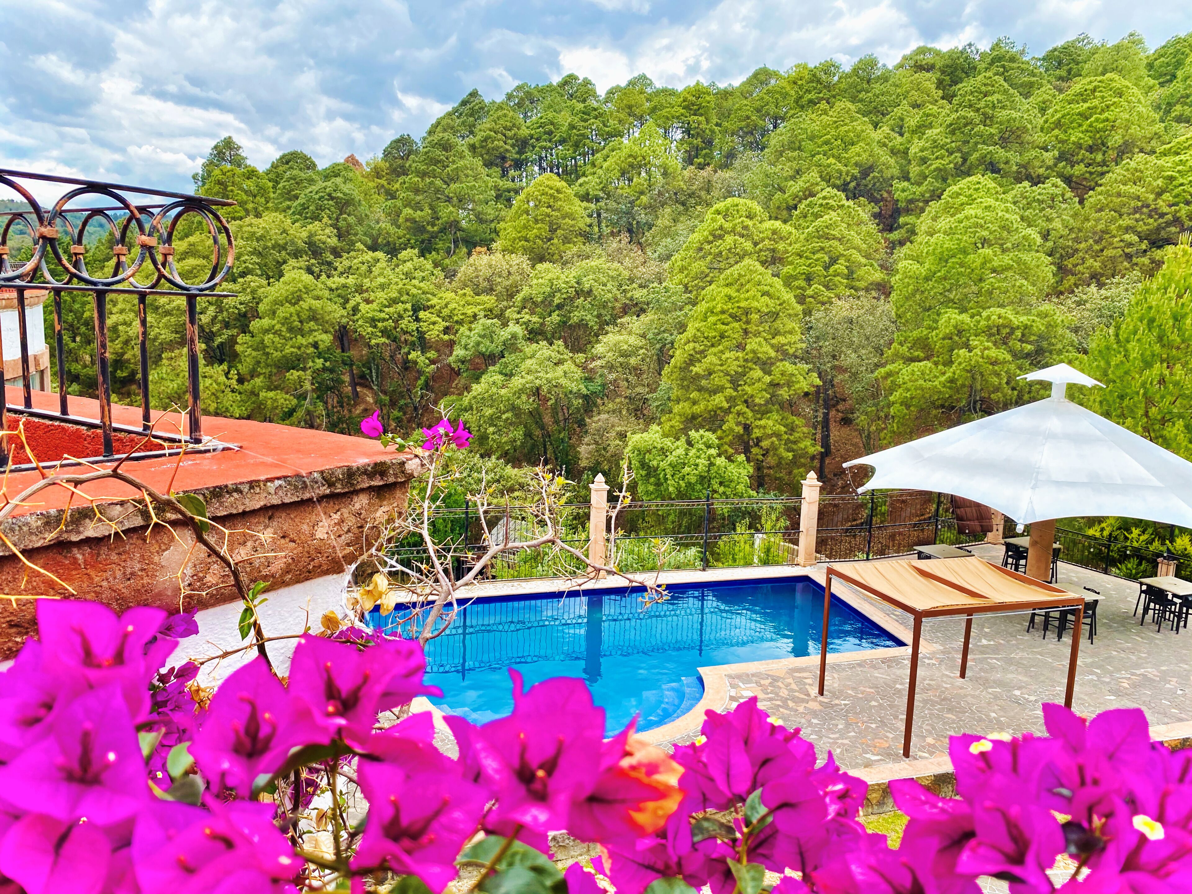 Vista desde la habitación