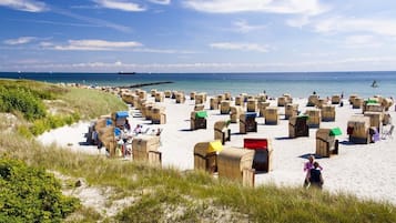 Sulla spiaggia, navetta per la spiaggia, teli da spiaggia