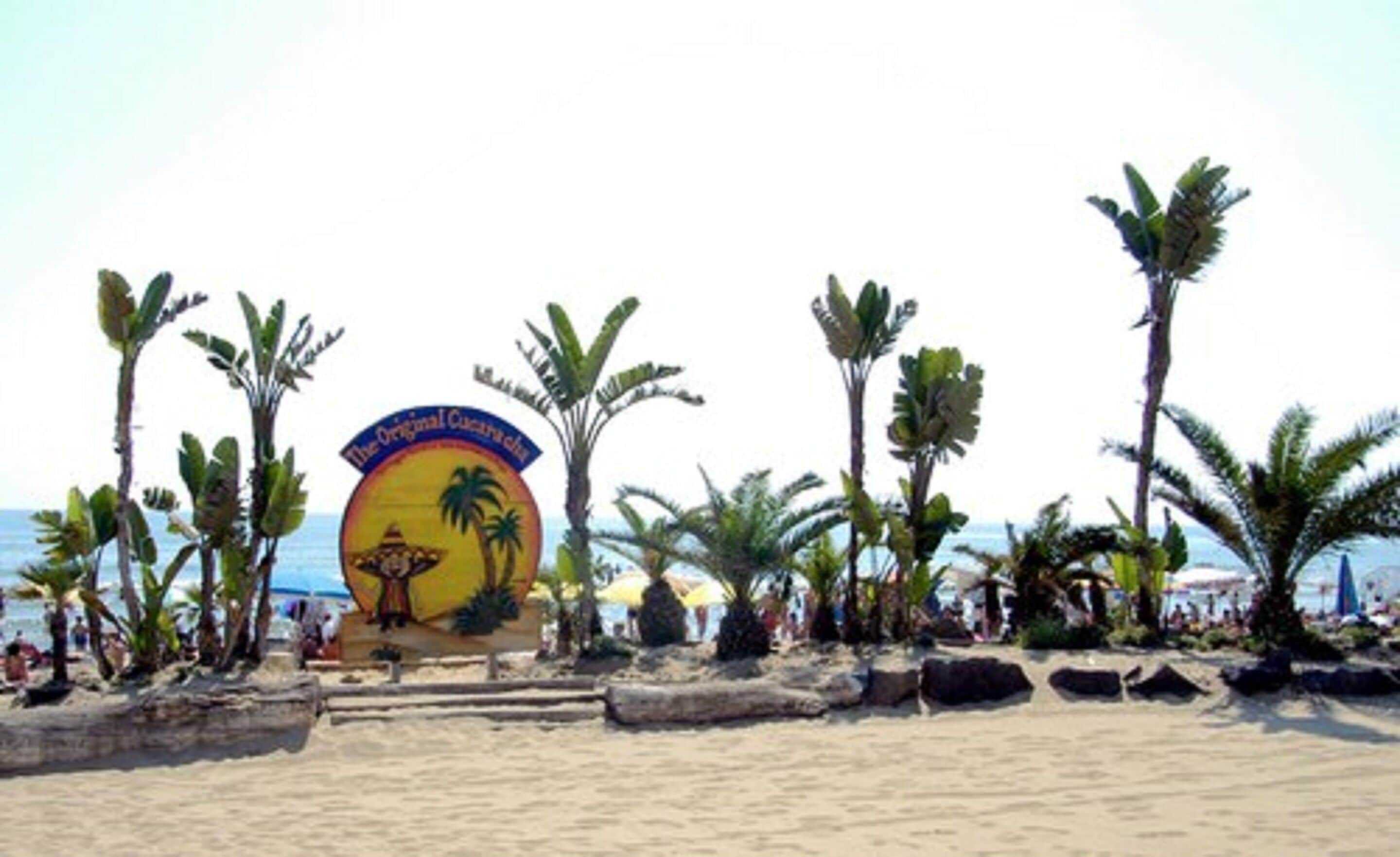 A beach with palm trees and a large sign reading "The Original Cancun."