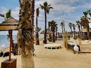 Beach nearby, sun loungers, beach umbrellas, windsurfing