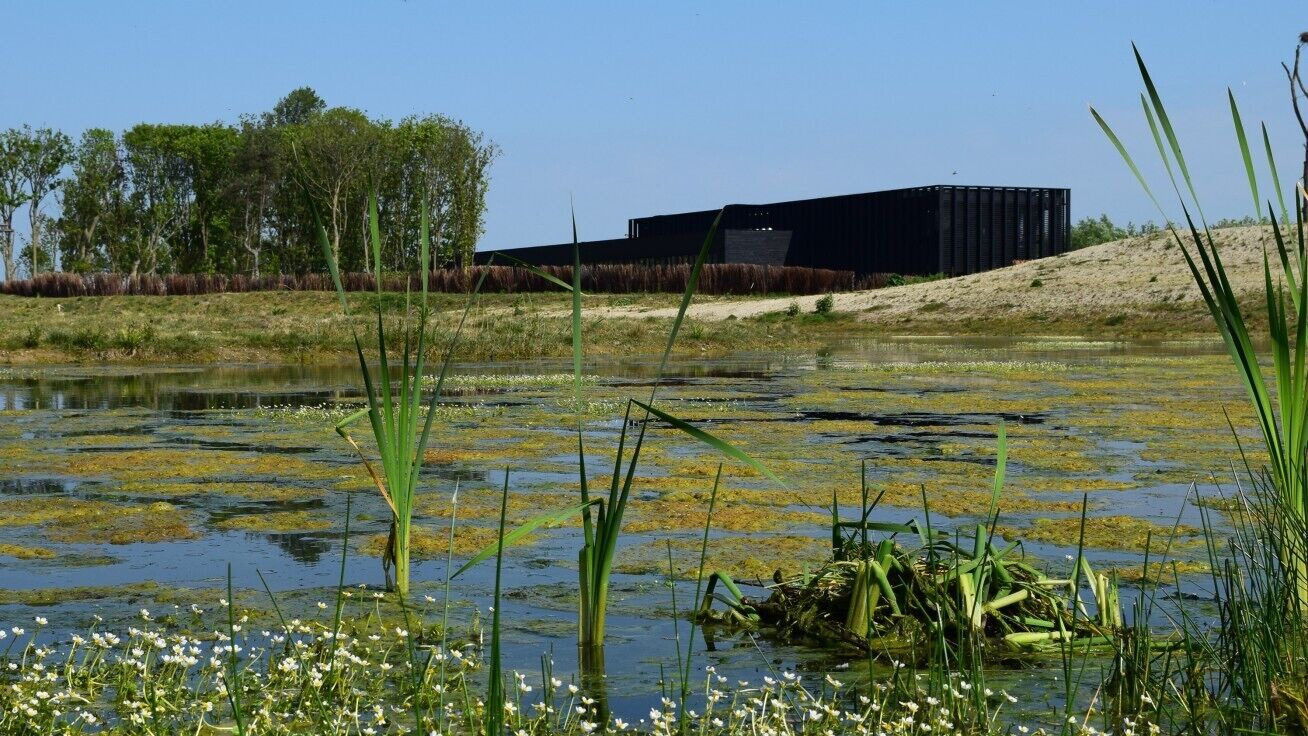 Photo - Bariseele B&B