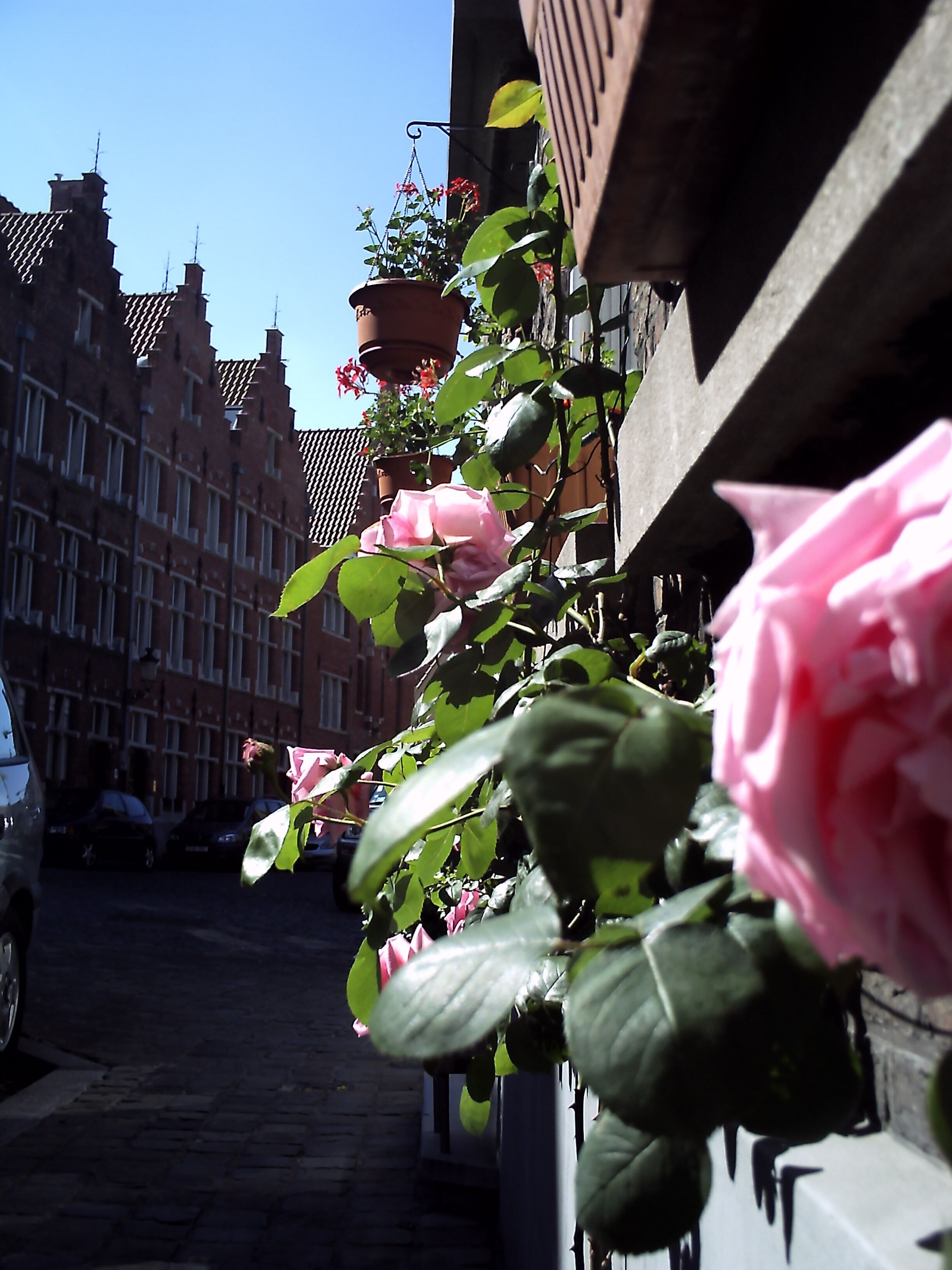 Photo - Bariseele B&B