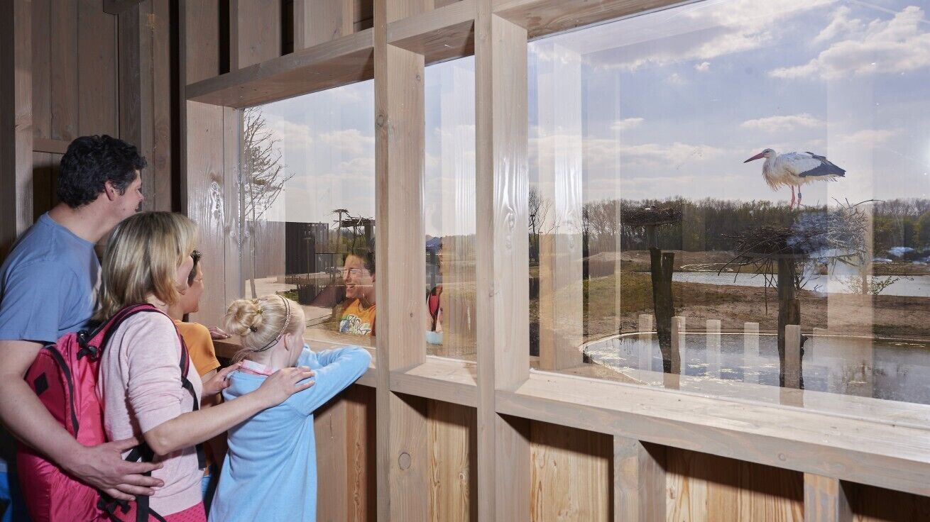 Photo - Bariseele B&B