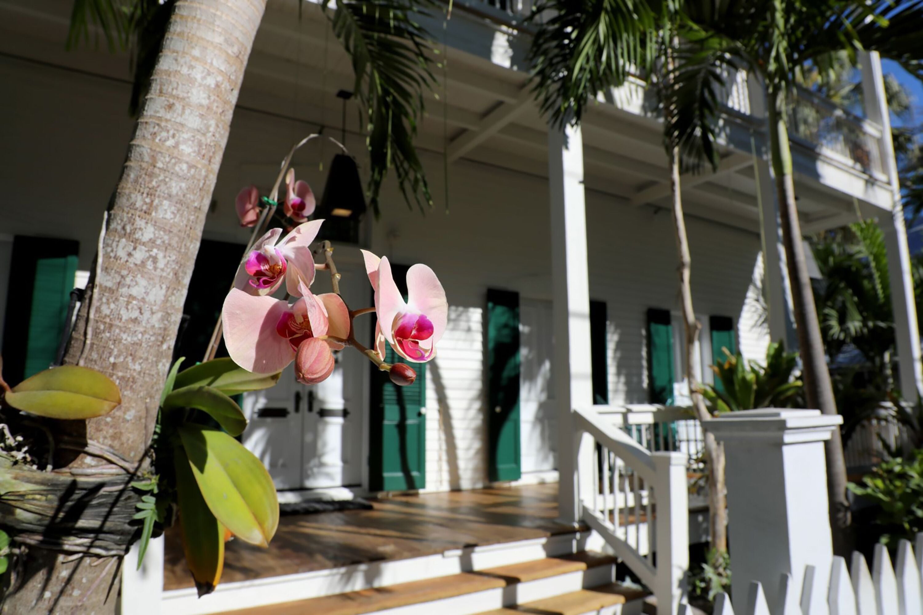 Foto - Ridley House - Key West Historic Inns