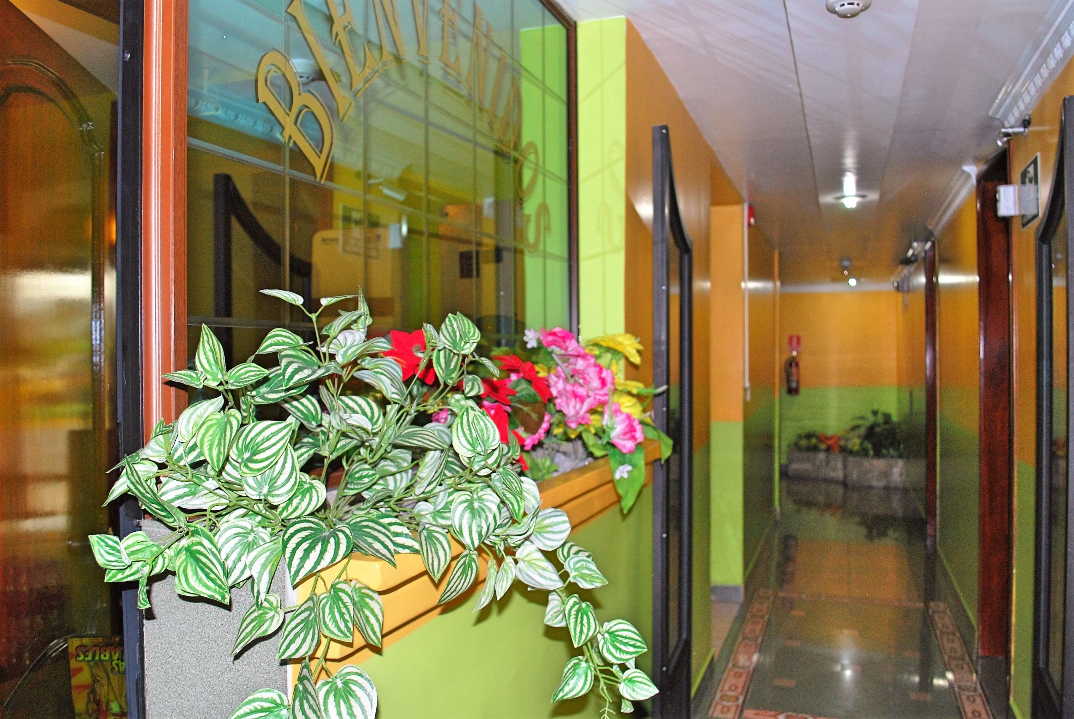A hallway with a green wall, a wooden bench with potted plants, and a glass door with a reflection.