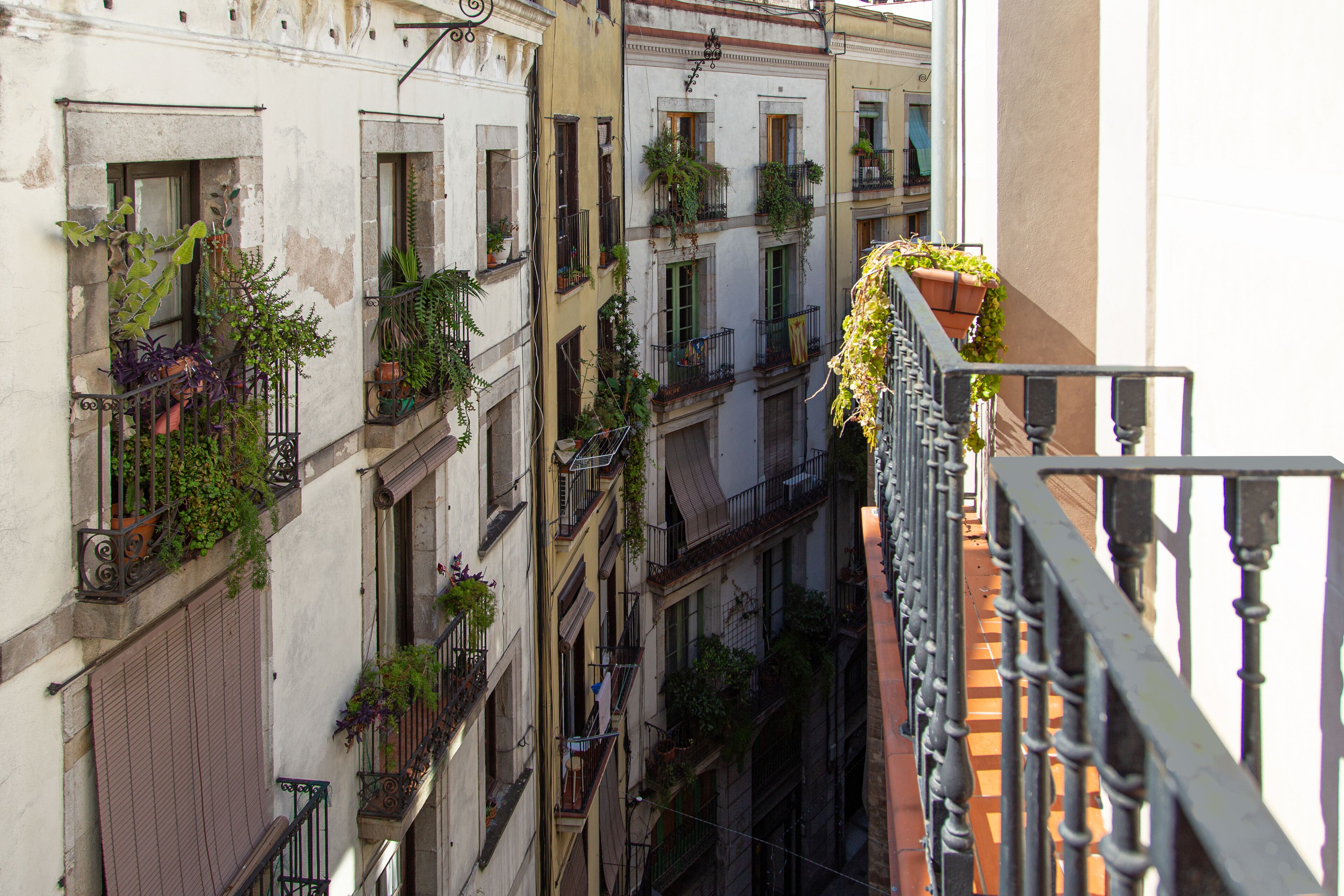 Balcony view