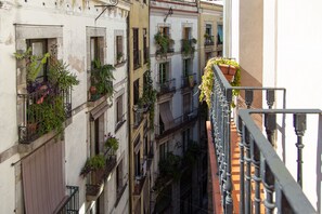 Vista del balcón