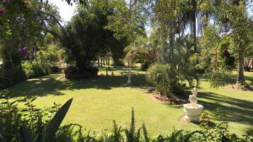 Un jardín bien cuidado con diversos árboles, césped y una fuente central.