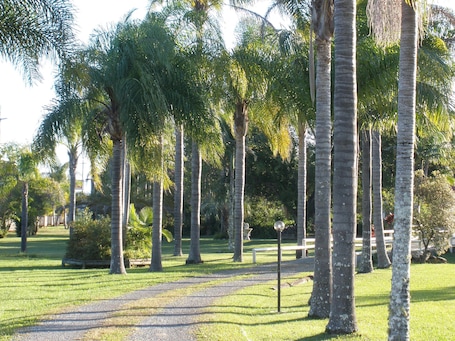 Property grounds. Palms Oasis Motel