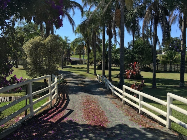 Property grounds - Palms Oasis Motel (Coopernook)