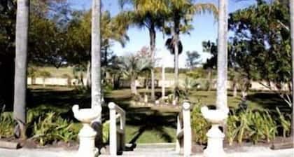 Palms Oasis Motel
