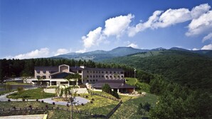 Unclassified image, 3 of 27, button - Azumaya Kogen Hotel (Ueda)