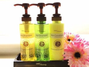 Combined shower/tub, free toiletries, hair dryer, slippers