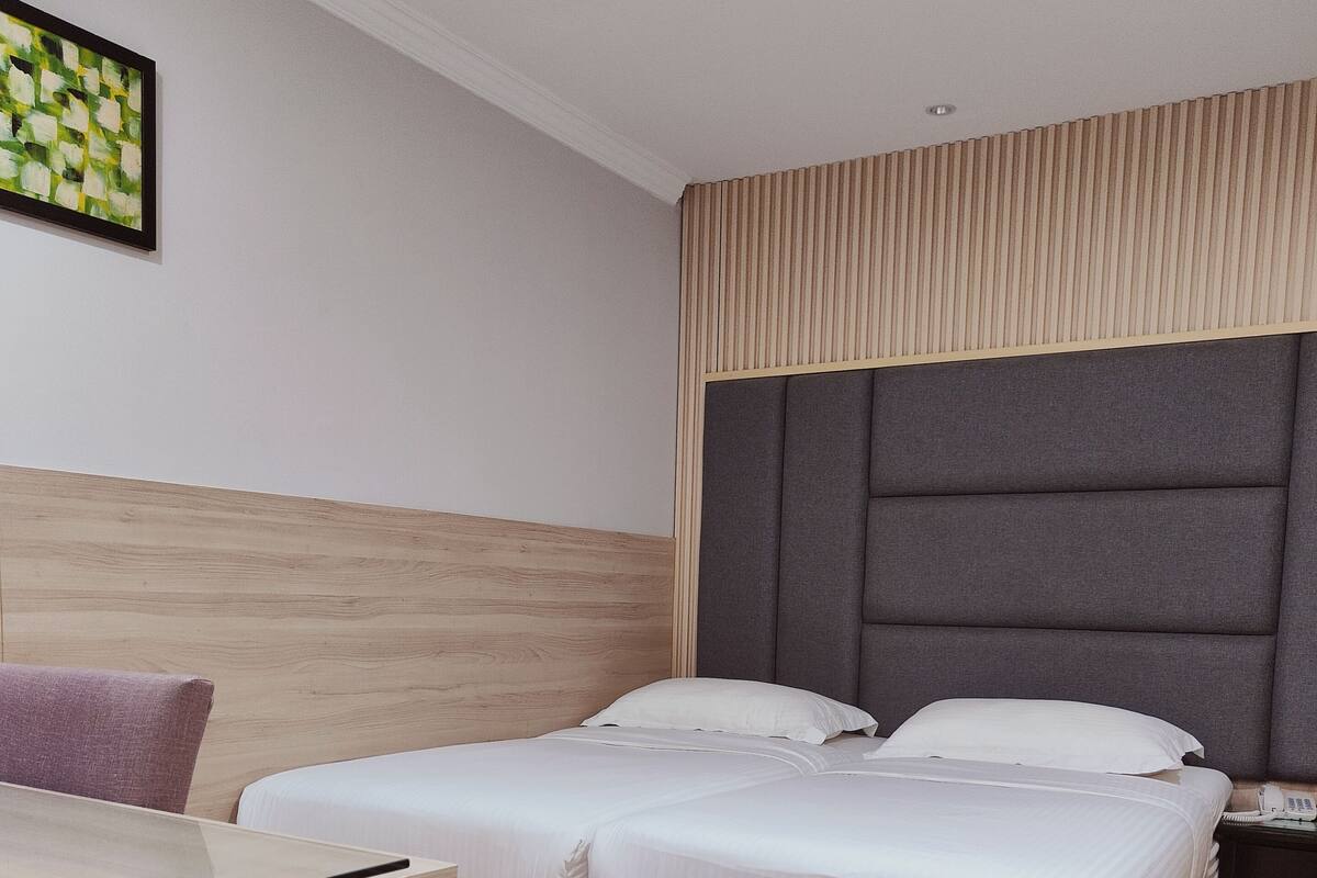 Standard Room with No window