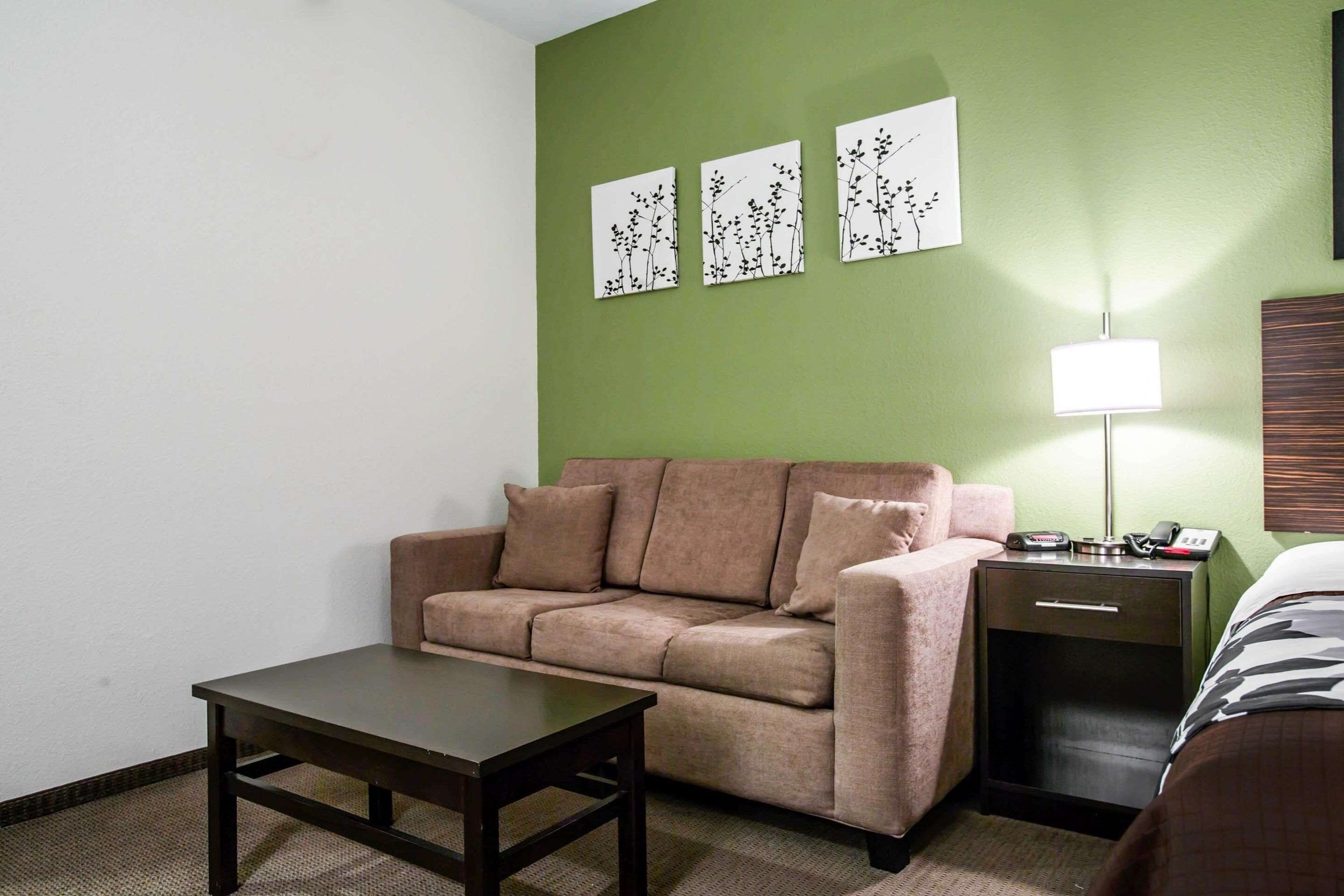 standard room, 1 king bed with sofa bed | desk, iron/ironing board, free wifi, bed sheets