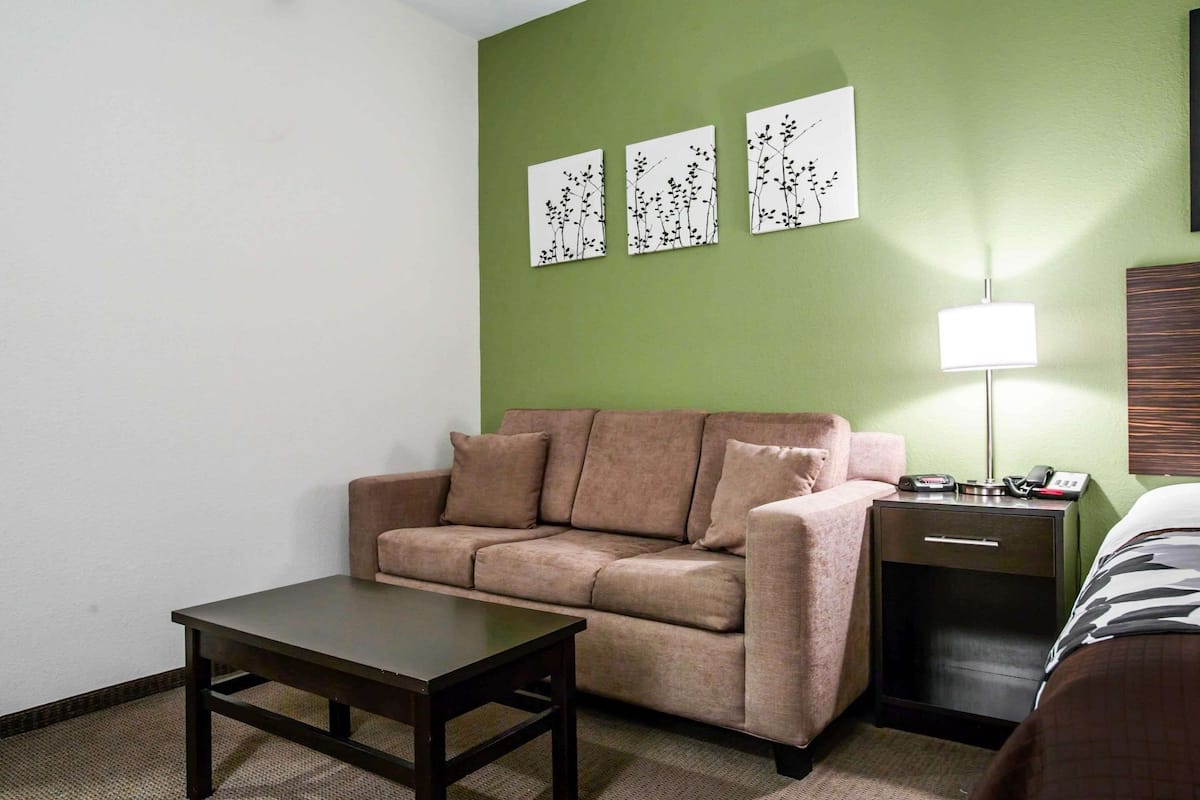 standard room, 1 king bed with sofa bed | desk, iron/ironing board, free wifi, bed sheets