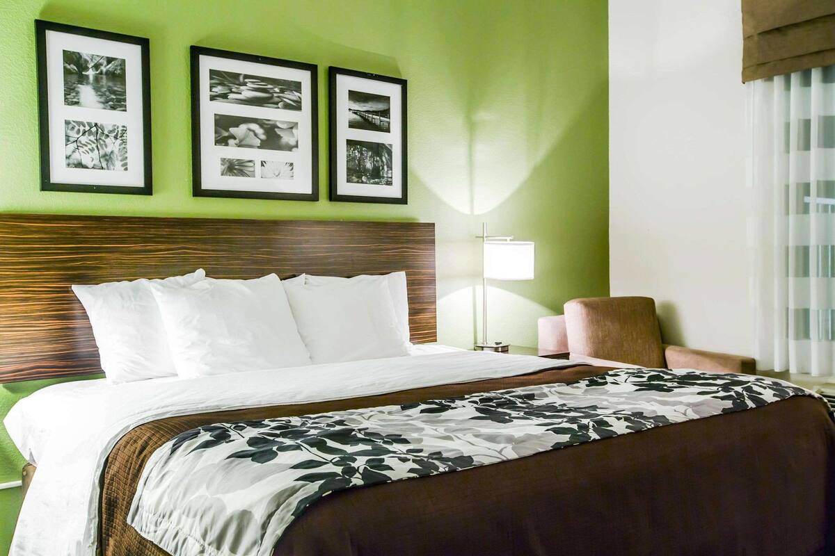 standard room, 1 king bed | desk, iron/ironing board, free wifi, bed sheets