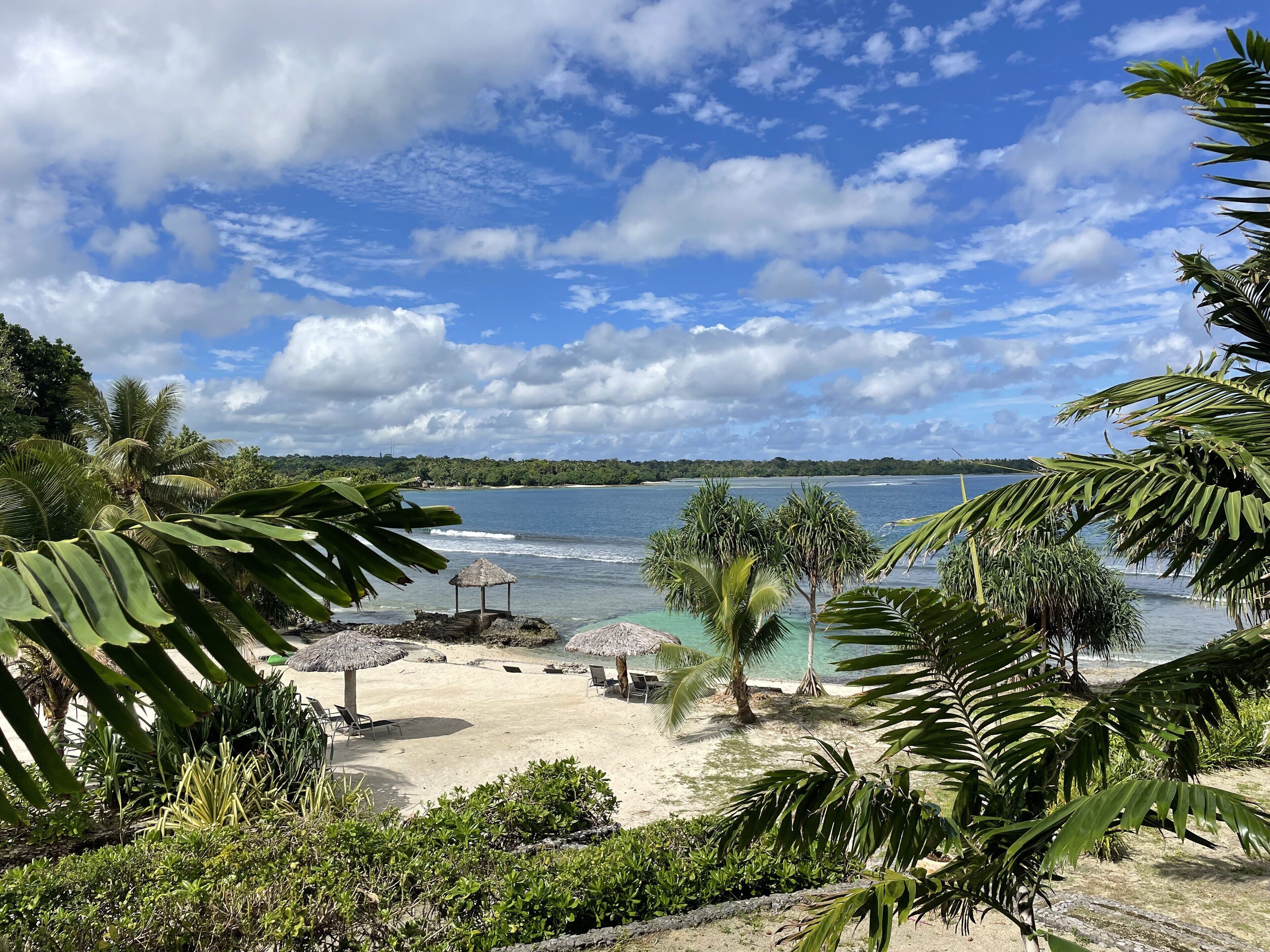 A beach with thatched umbrellas, lounge chairs, and palm trees.