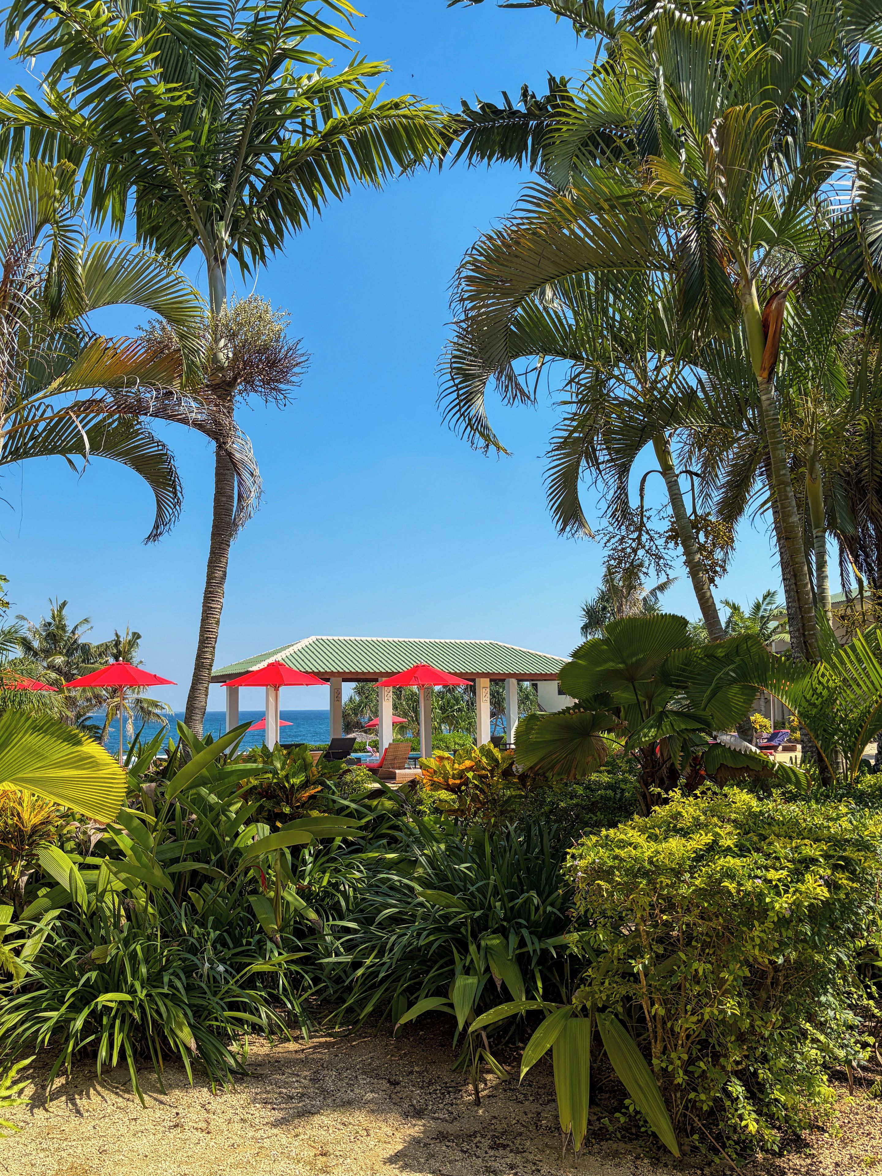 A tropical resort with palm trees, a gazebo, and a view of the ocean.