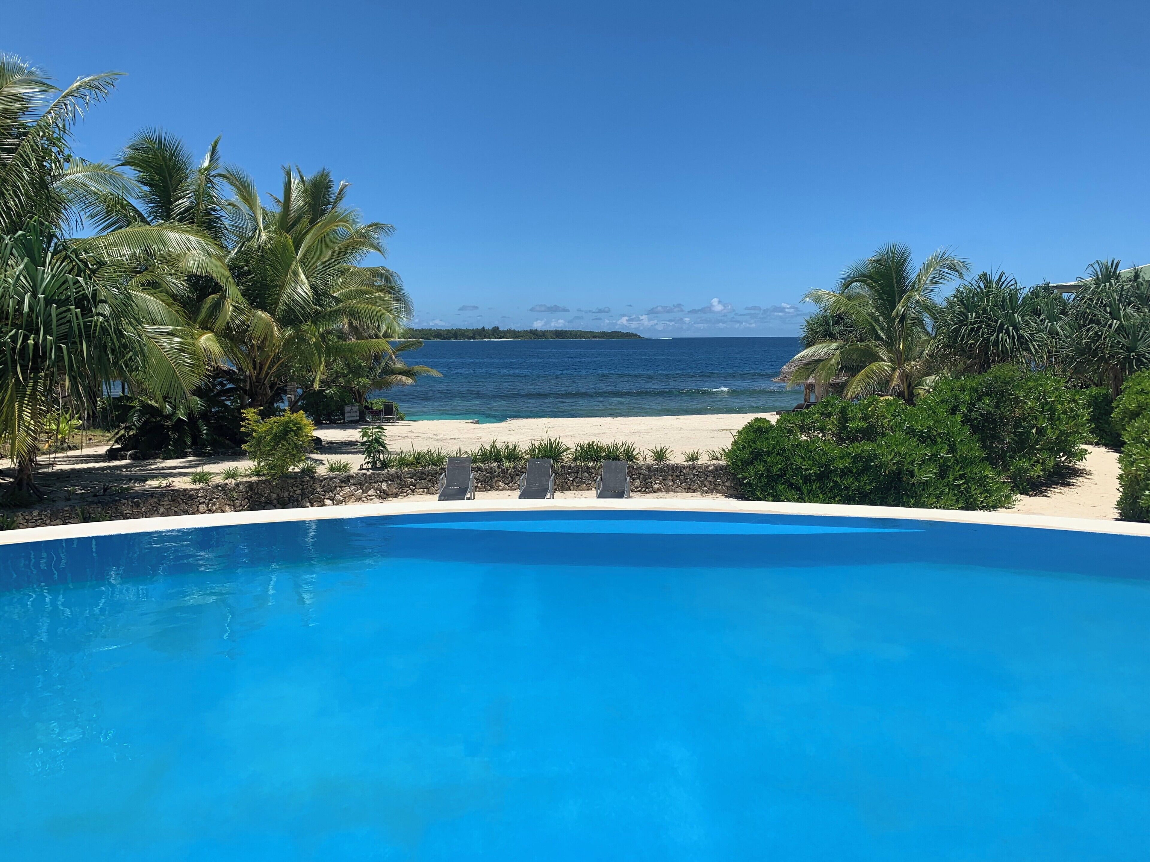 Una piscina al aire libre, sombrillas, sillones reclinables de piscina