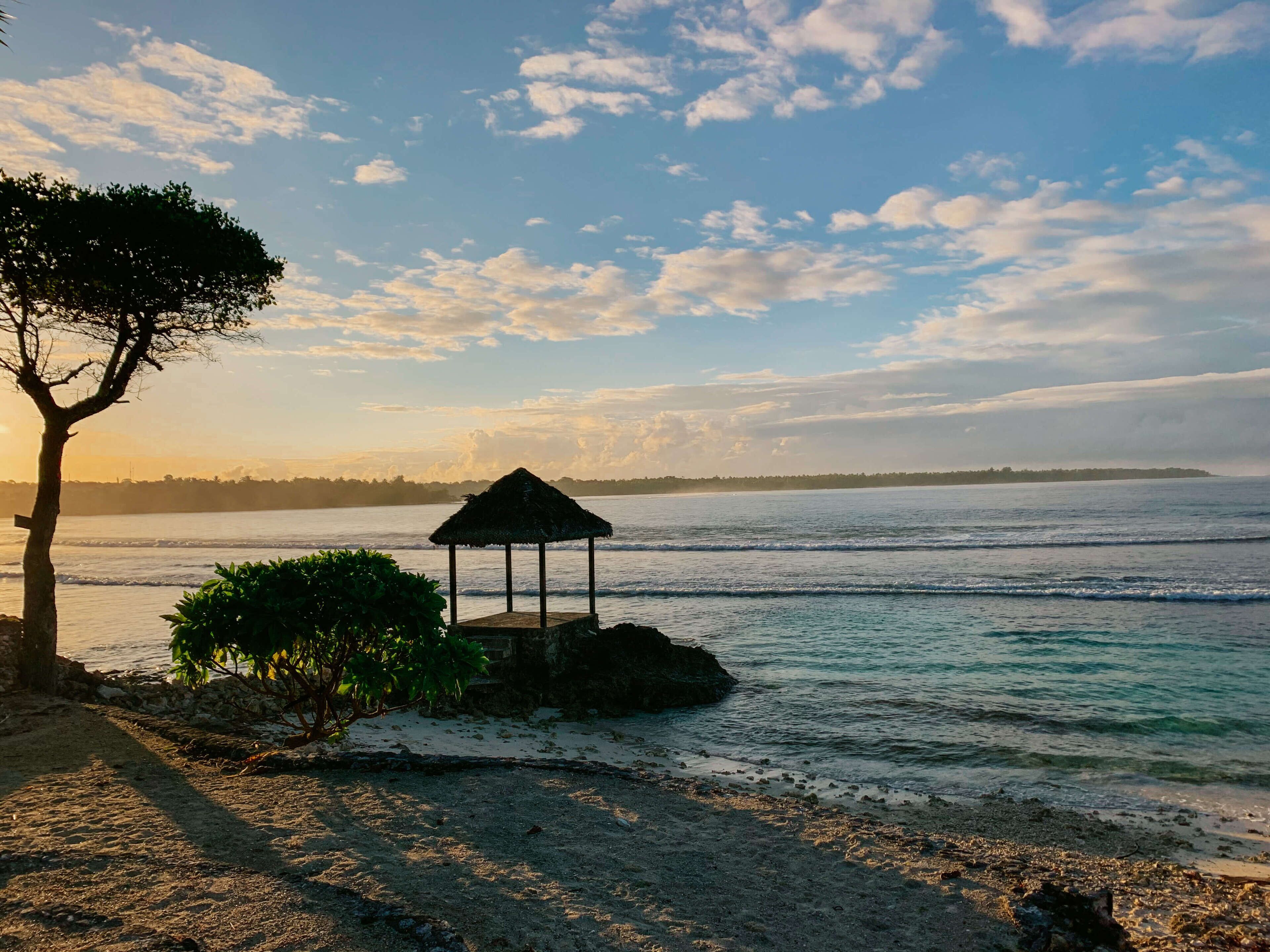 A beach with a gazebo, a tree, and a view of the sea.