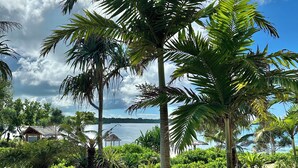 A tropical garden with palm trees and a view of a beach and ocean. - Nasama Resort (Port Vila)