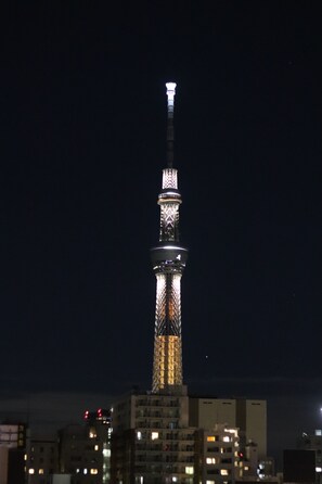 City view from property