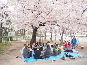 A group of people sitting on a blue mat under cherry blossom trees in a park.
