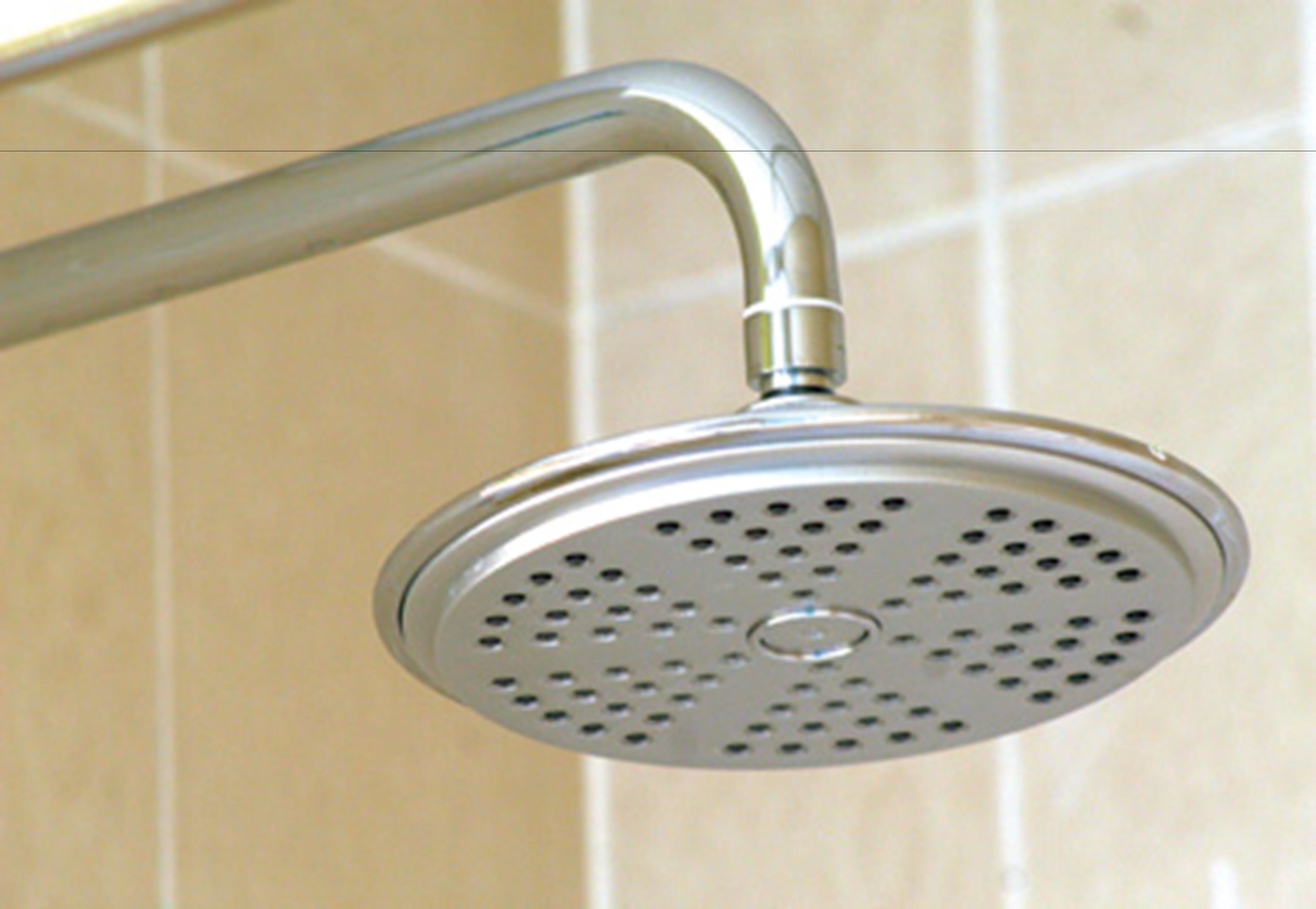 A showerhead with a curved design and a circular base.
