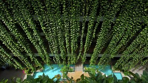 A lush indoor garden with hanging vines and a central water feature. - THE MOON BEACH MUSEUM RESORT (Onna)