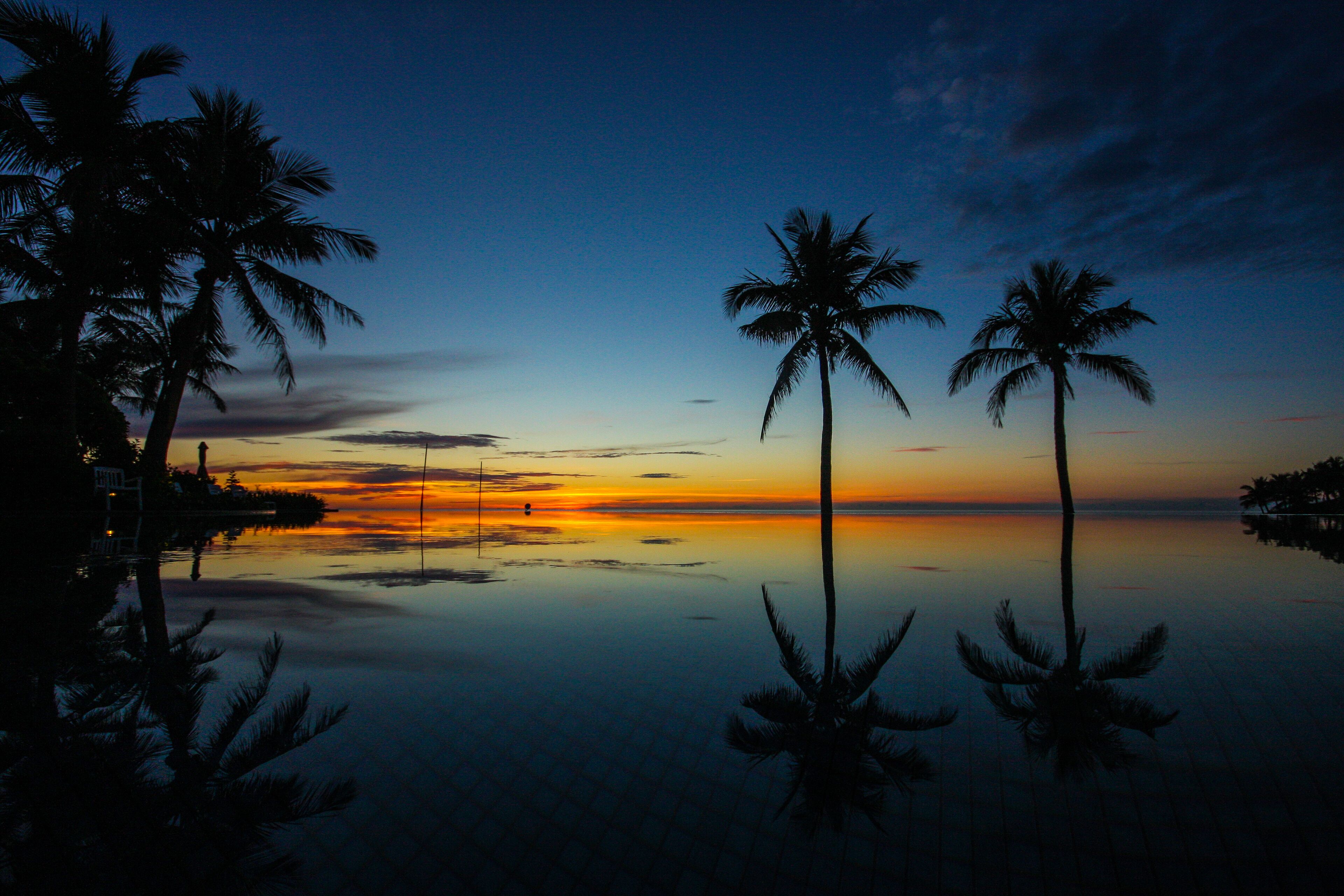 A tranquil sunset over a calm body of water with palm trees silhouetted against the sky.