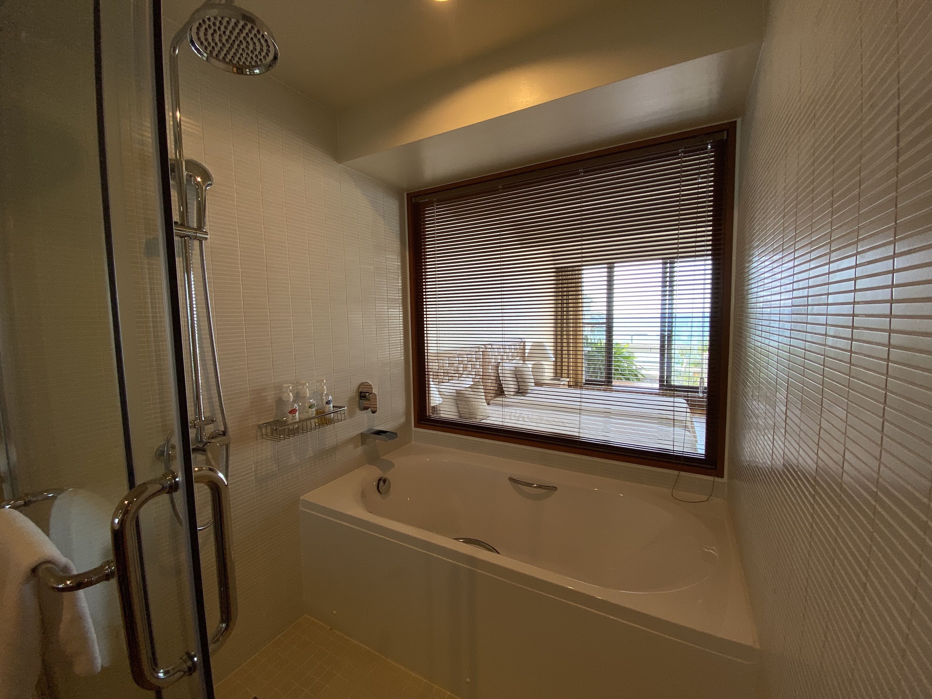 separate bathtub and shower, rainfall showerhead, free toiletries