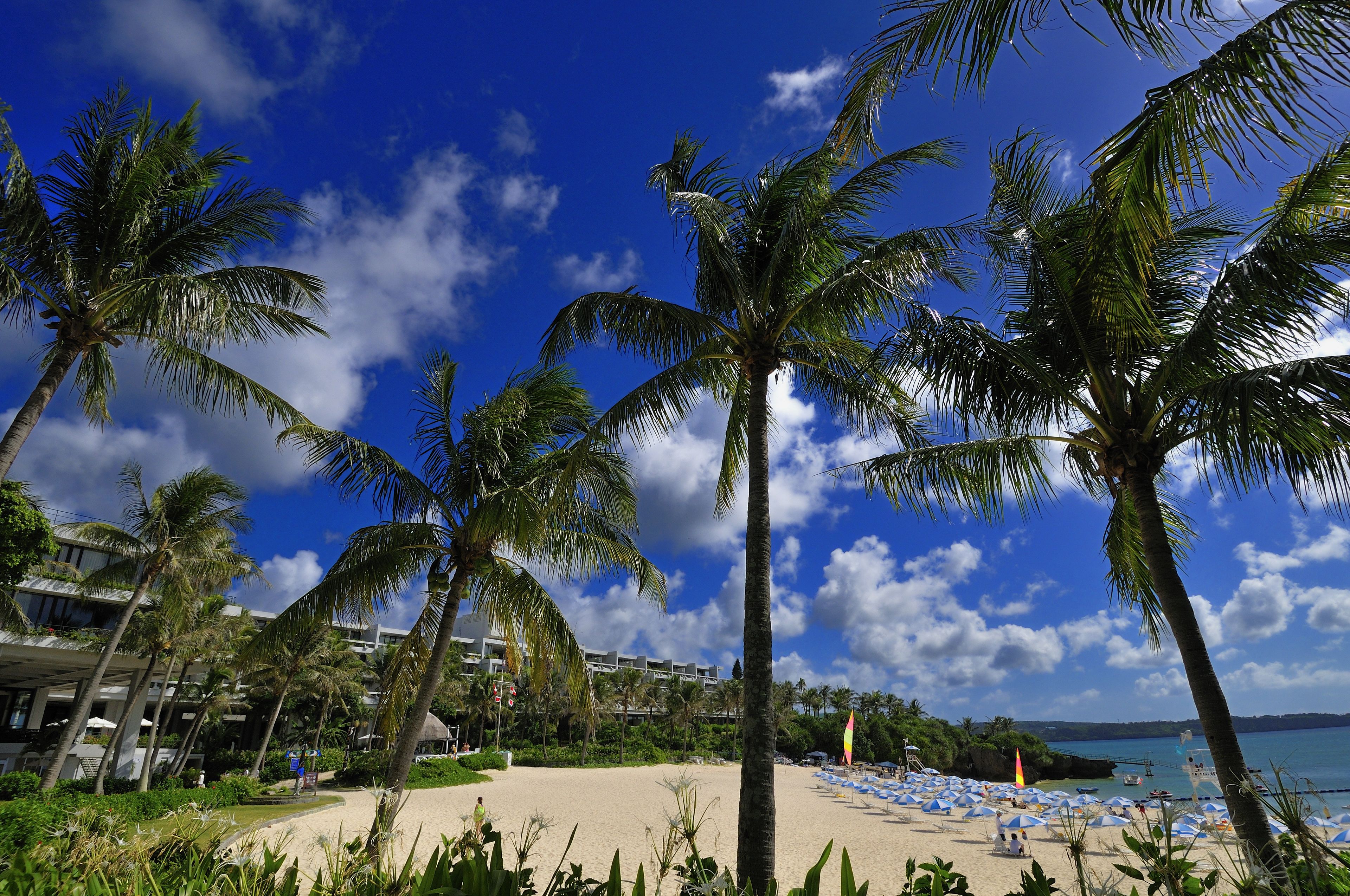 THE MOON BEACH MUSEUM RESORT Reviews, Deals & Photos 2026 - Expedia