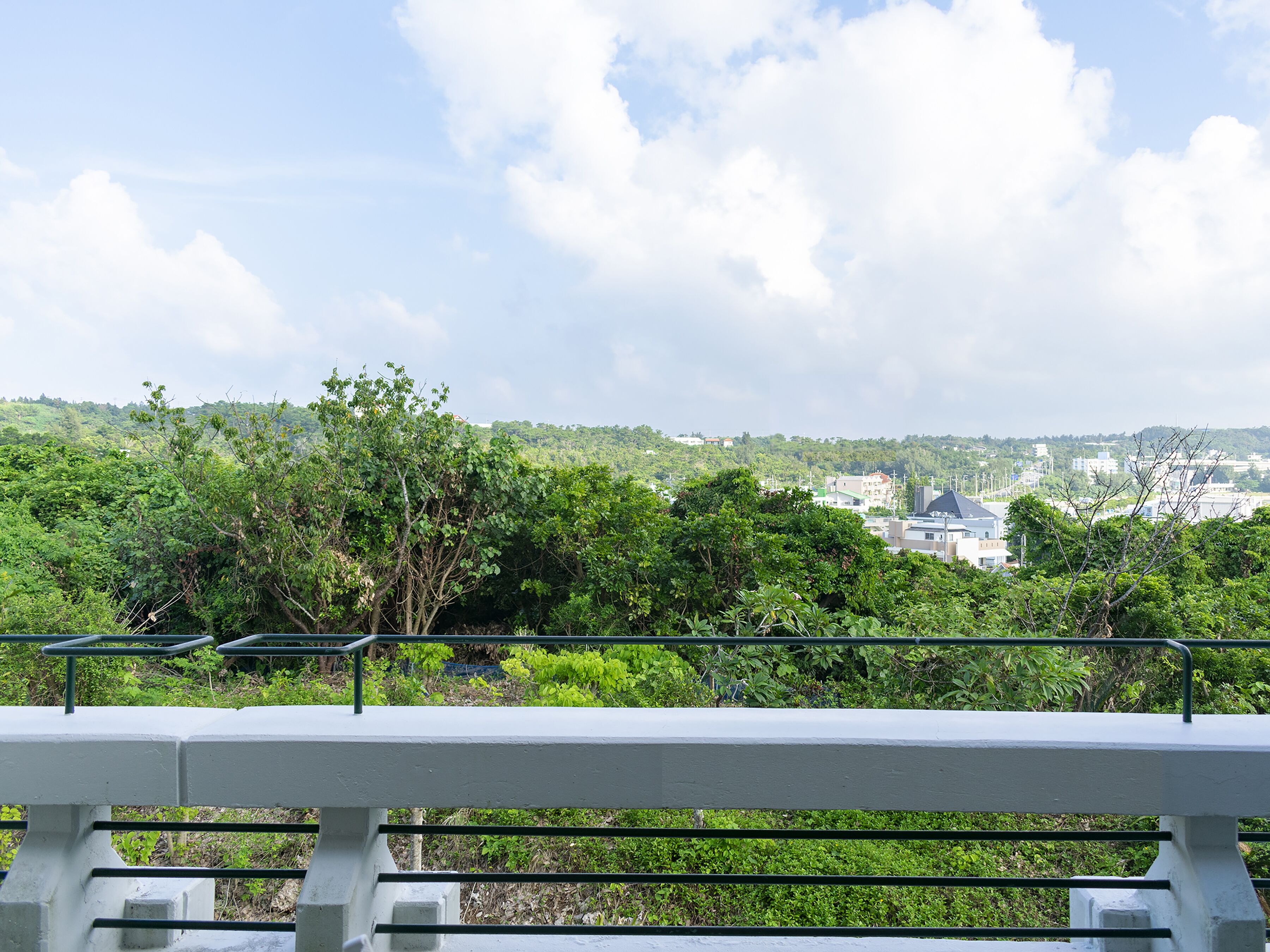Vista de un paisaje urbano con zonas verdes y edificios al fondo.