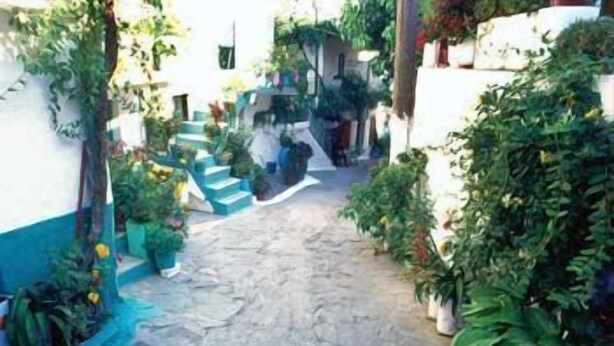 A narrow stone-paved alley with steps leading to a building, surrounded by lush greenery and potted plants. - Marina Hotel (Anogia)