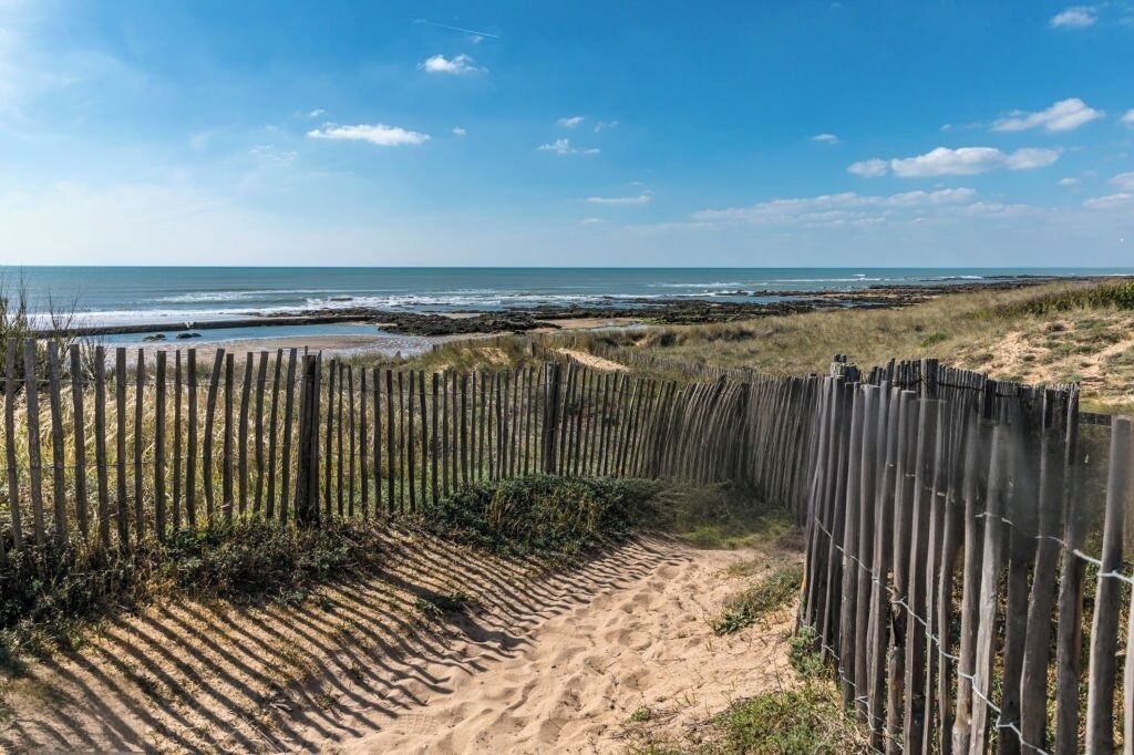 靠近海滩、白沙