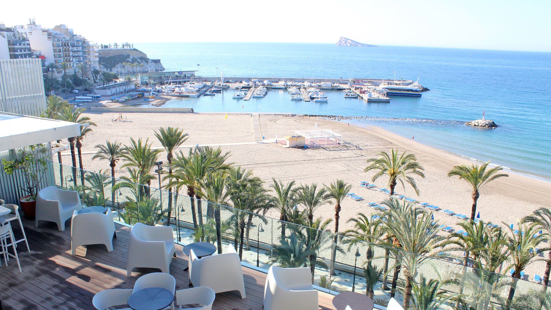 Blick auf einen Strand mit einer Marina, Palmen und einem Gebäude mit einer Terrasse.
