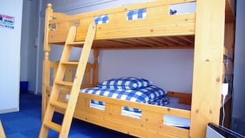 A bunk bed with a wooden ladder, a blue and white checkered blanket, and a small desk with a chair.