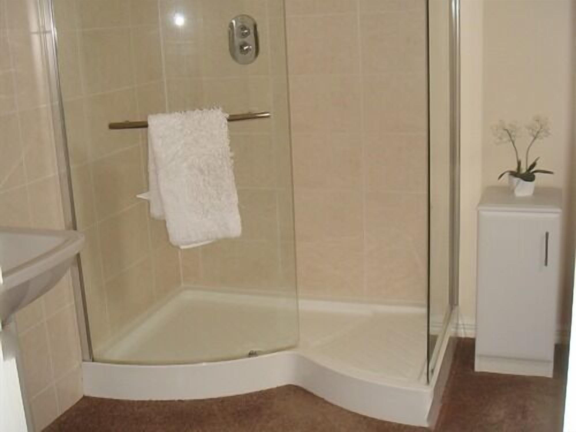 Bathroom shower