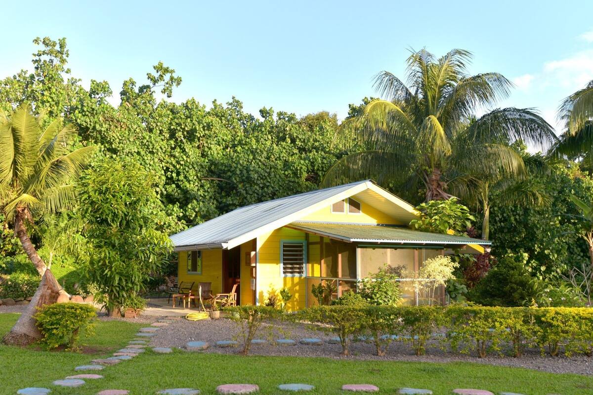 Fare Opuhi | View from room